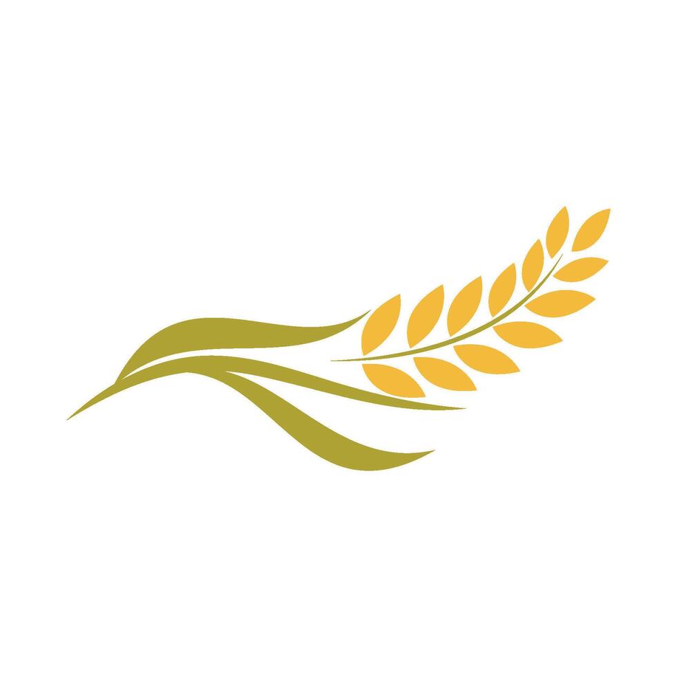 logo de trigo de agricultura vector