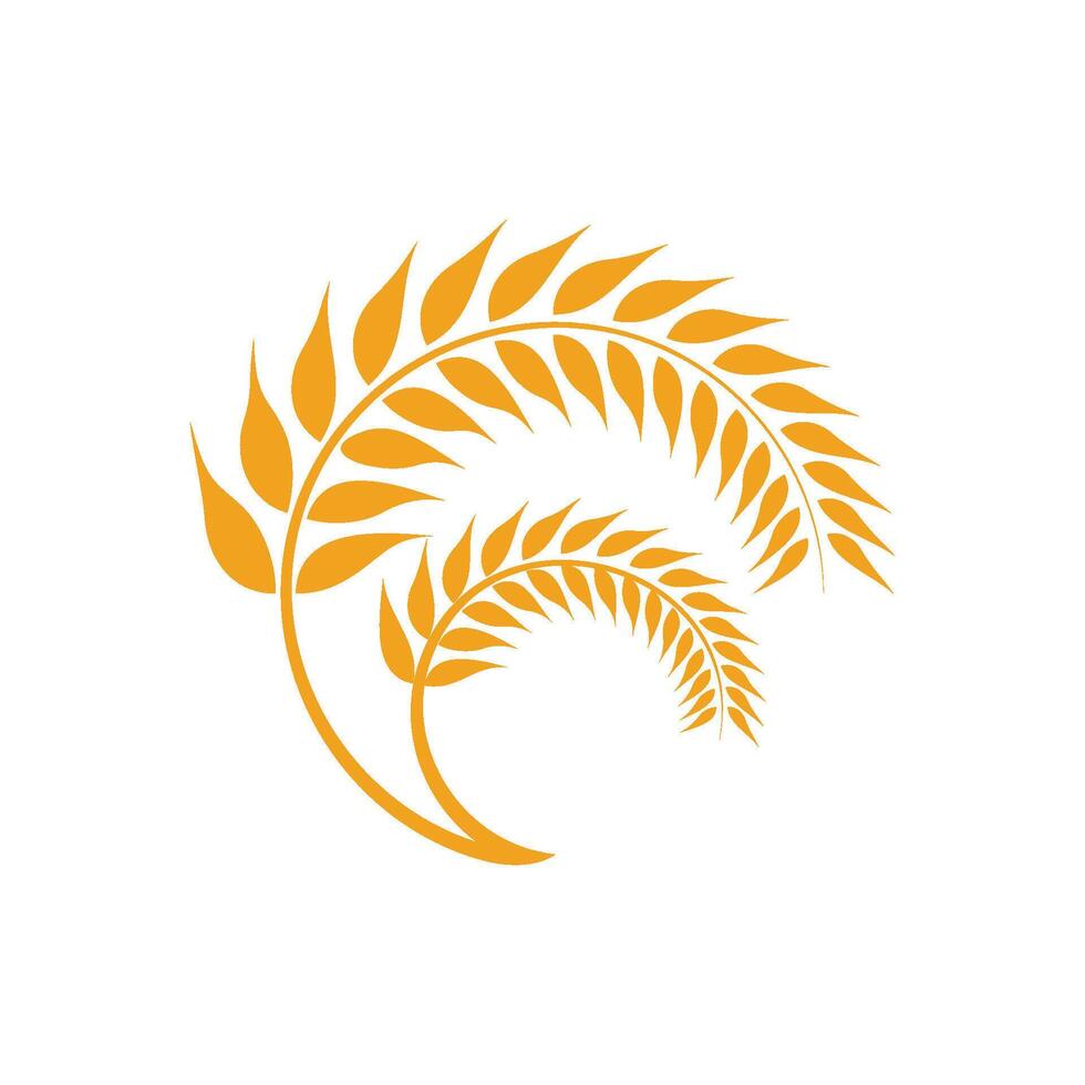 Agriculture wheat Logo vector