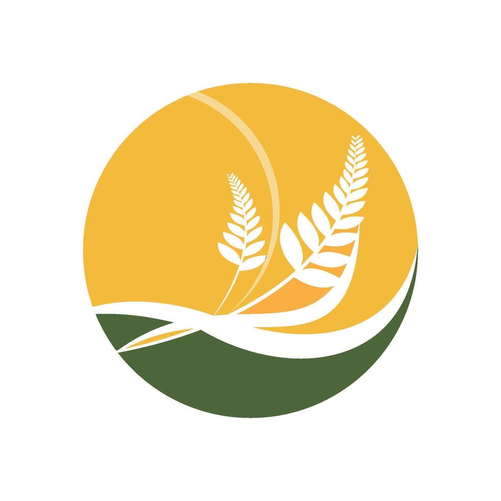 Agriculture wheat Logo vector