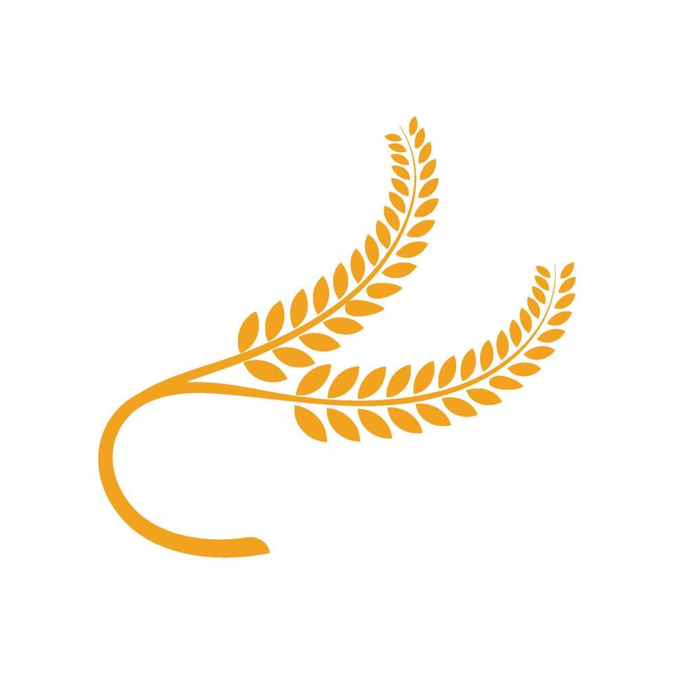 Agriculture wheat Logo vector