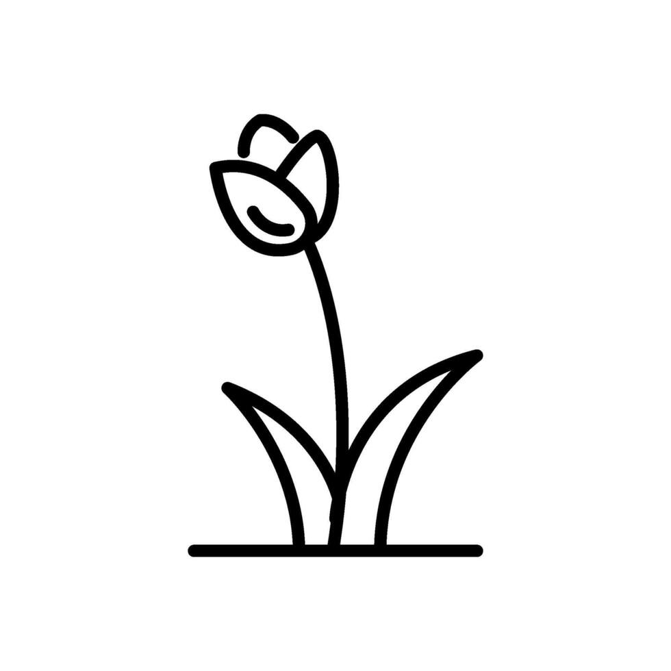 tulipán flor icono vector en línea estilo