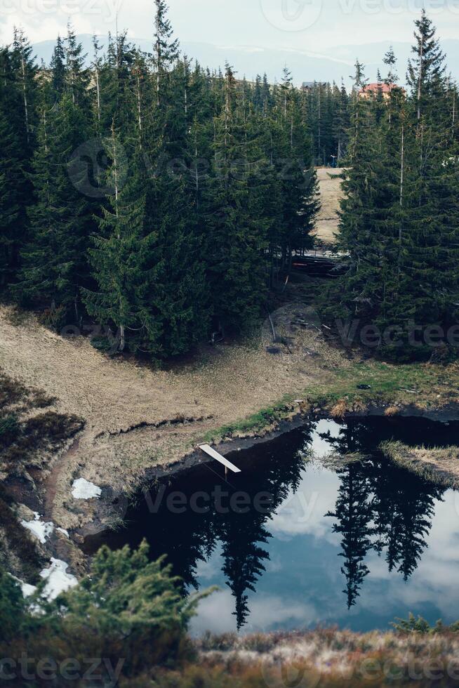 montaña lago en abeto bosque en un antecedentes de azul cielo foto