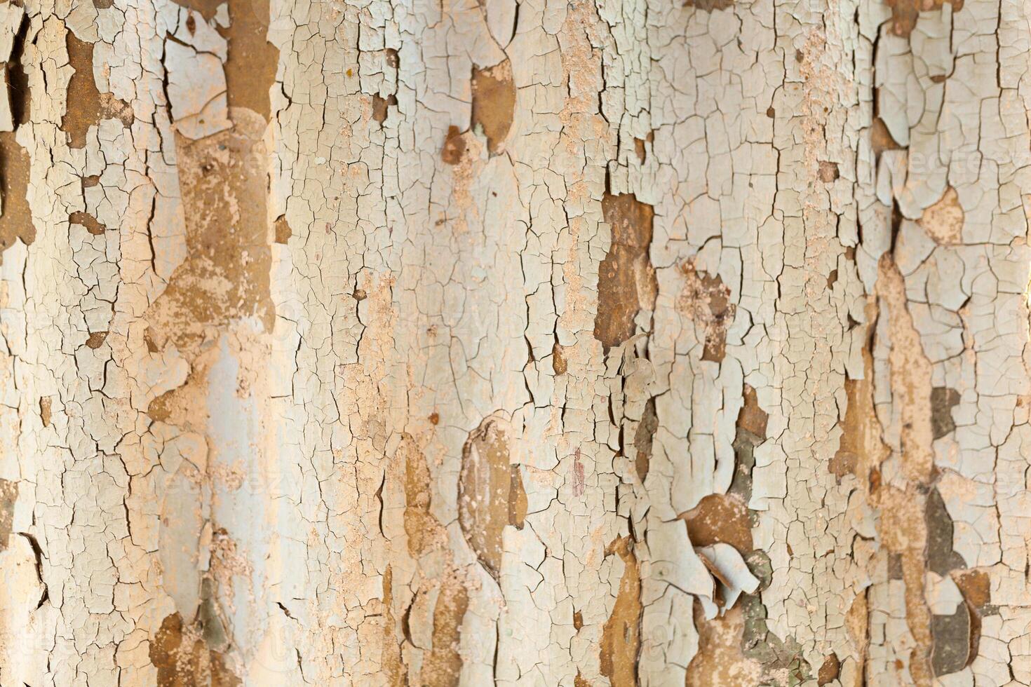 The texture of an old asbestos house roof in a village or an old painted fence of shiver slate photo