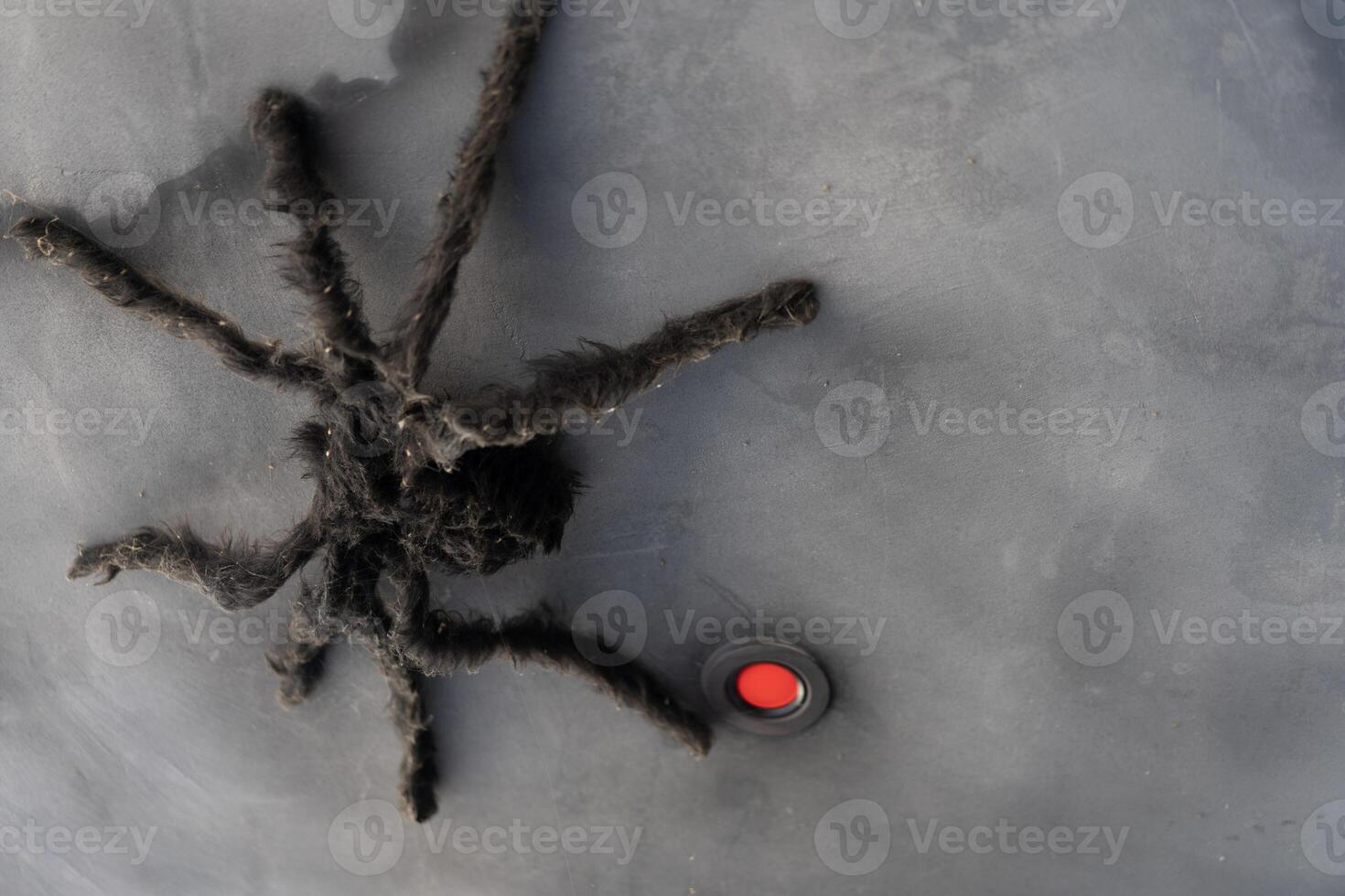 Artificial Big Black Spider Halloween Background photo