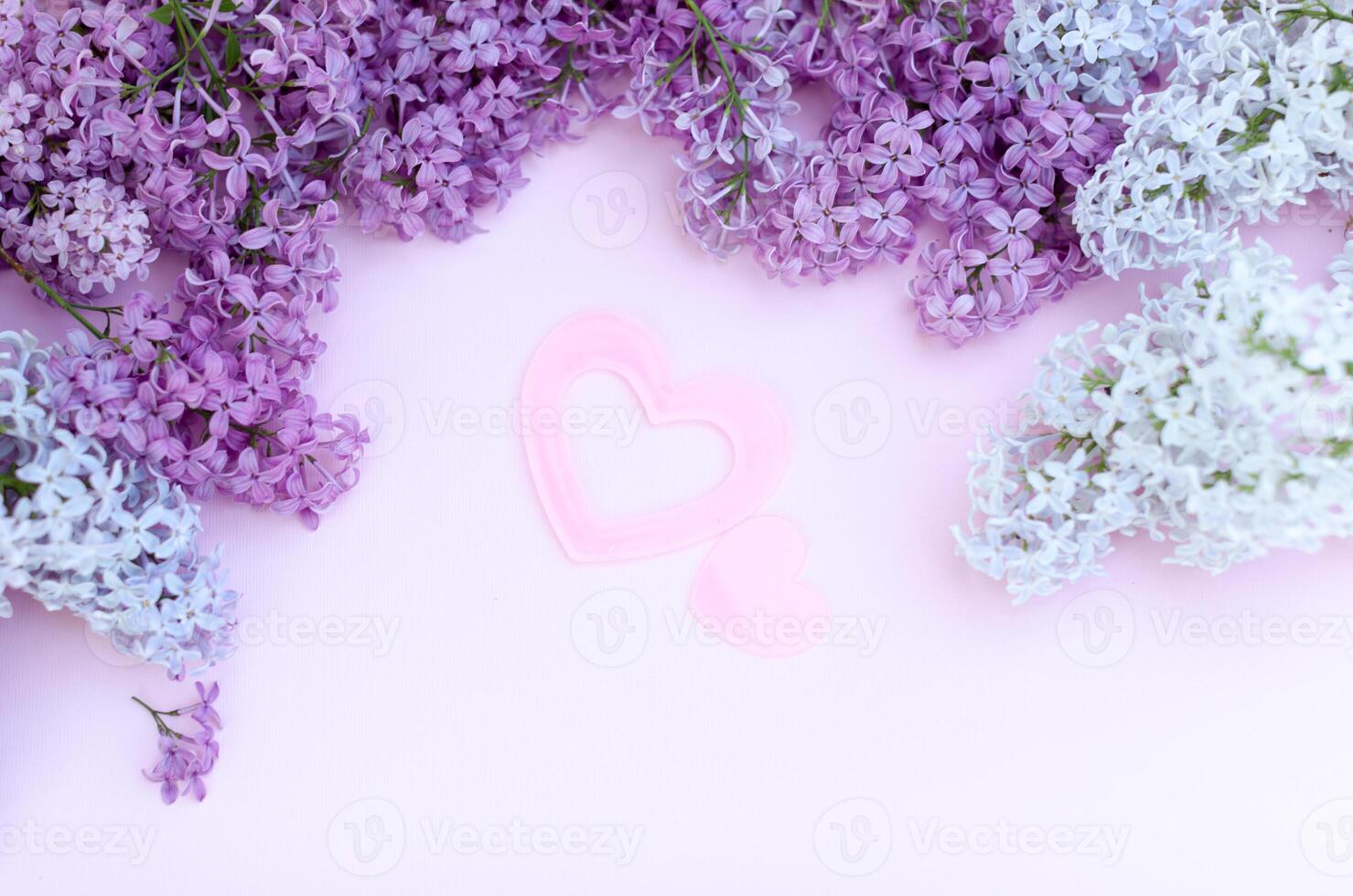 Lilac branches and two pink heart on a light pink background empty space for your text, top view. One big and one small heart like simbol of love photo