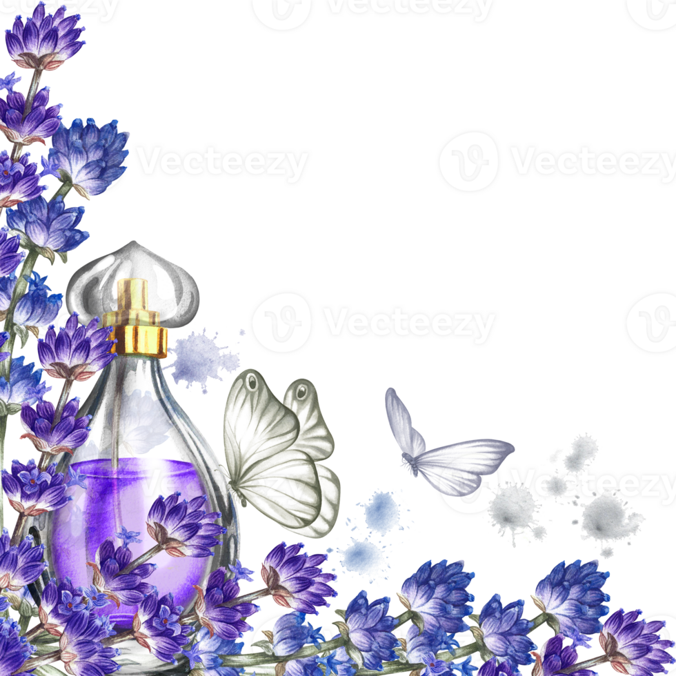 en parfym flaska tillverkad av transparent glas med lavendel- blommor. årgång lila parfym med lavendel- doft. en ritad för hand vattenfärg illustration. isolera henne. för förpackning, vykort och etiketter. png