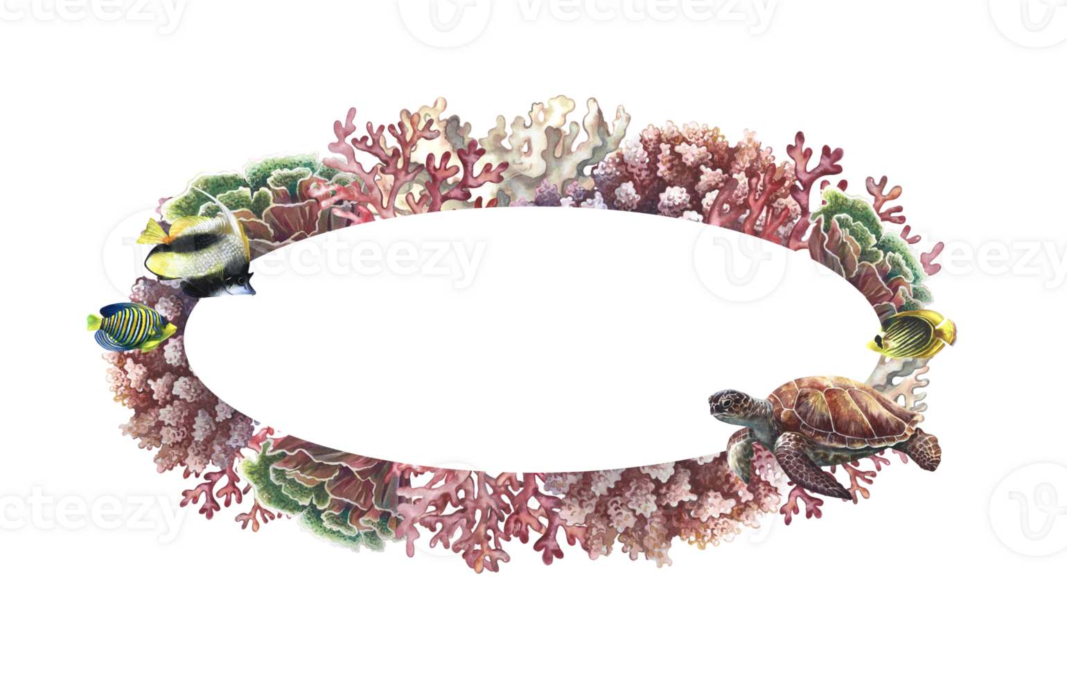 Oval frame with corals, sea turtle and fish. Hand-painted watercolor painting. Aquarium, tropics, reefs. For labels, business cards and packaging, postcards and flyers, template for labels. png