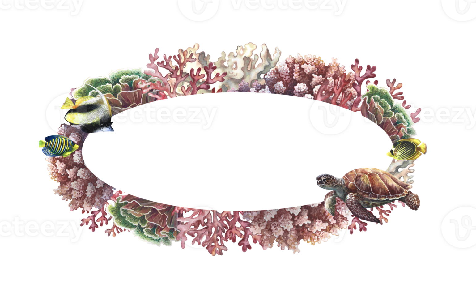 oval ram med koraller, hav sköldpadda och fisk. handmålad vattenfärg målning. akvarium, tropikerna, rev. för etiketter, företag kort och förpackning, vykort och flygblad, mall för etiketter. png