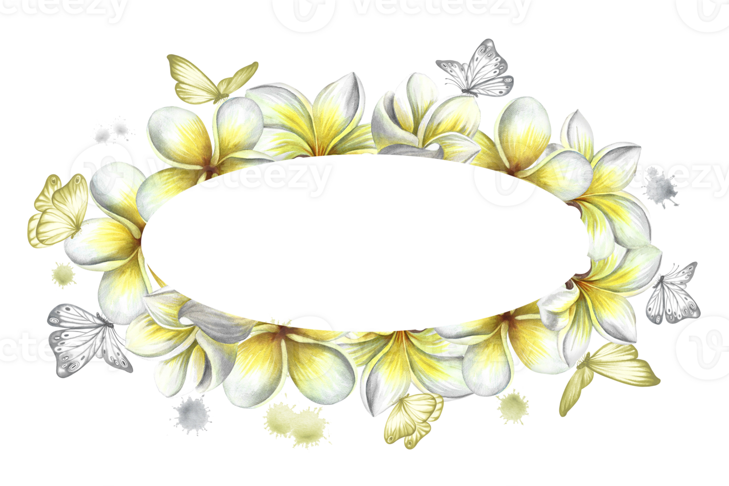 ovaal kader met plumeria en vlinders, tropisch geurig frangipani bloemen. hand getekend waterverf illustratie. voor verpakking en etiketten. voor affiches, flyers, groet kaarten en uitnodigingen. png