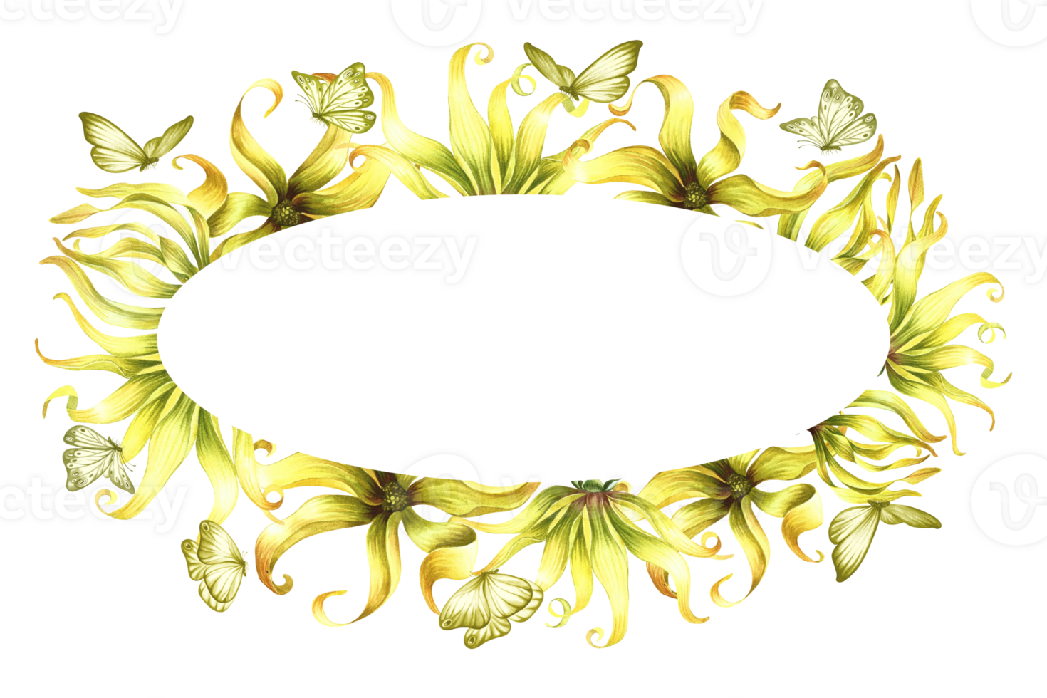 Oval Rahmen mit Ylang-Ylang Blumen und Schmetterlinge. ein Rahmen mit exotisch duftend Gelb Blumen. handgemalt Aquarell Illustration. zum Verpackung, Postkarten und Etiketten. zum ein Banner, ein Flyer. png