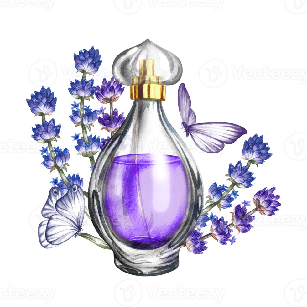 A perfume bottle made of transparent glass with lavender flowers and butterflies. Vintage purple perfume with lavender scent. A hand-drawn watercolor illustration. For packaging, postcards and labels. png