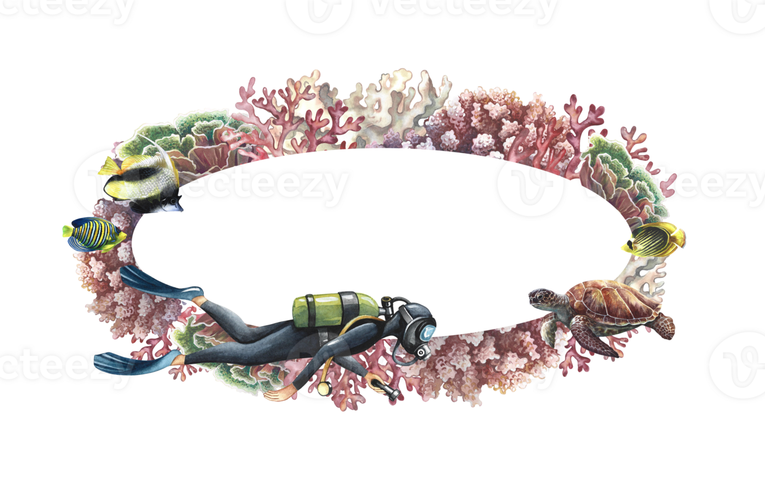 Oval frame with diver, corals, sea turtle and fish. Hand-painted watercolor painting. Aquarium, tropics, reefs. For labels, business cards and packaging, postcards and flyers, template for labels. png