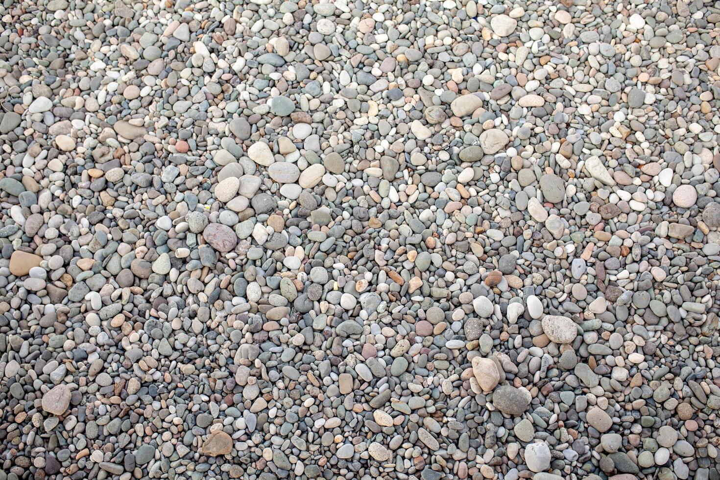 abstract background with dry round peeble stones. Sea stone close up photo