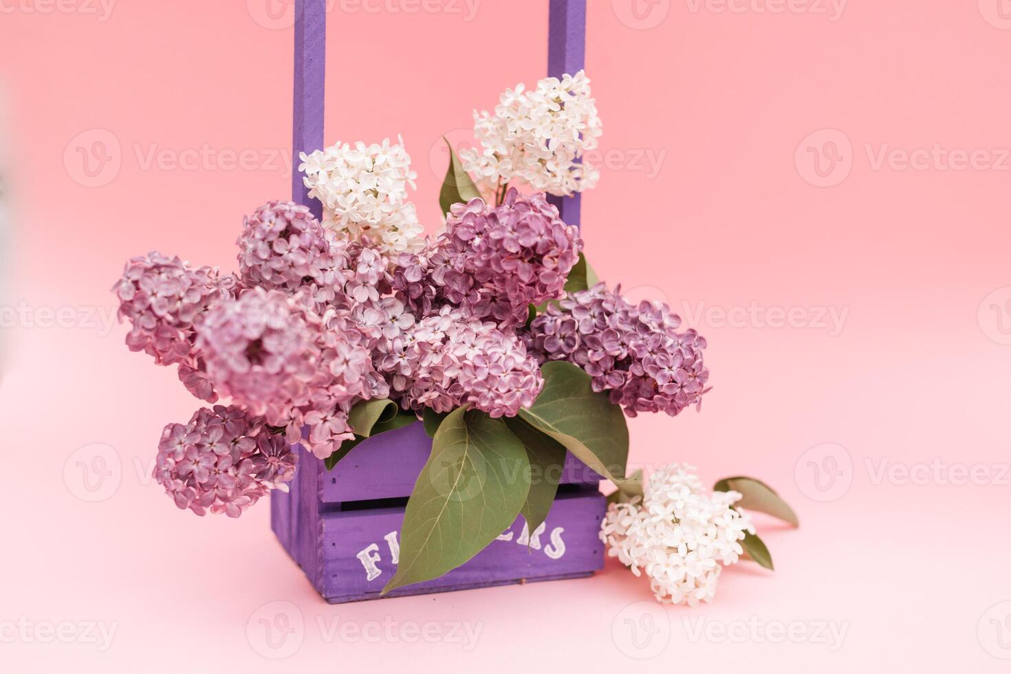 Lilac flowers bunch in a violet wooden basket over pink background. Beautiful violet Lilac flower still life Easter border design on wooden table photo