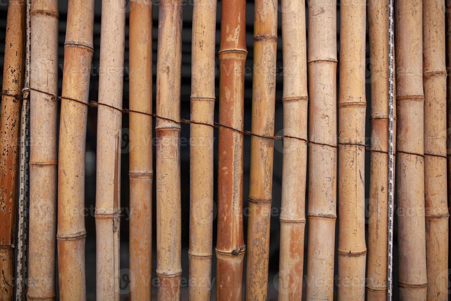 Dry Bamboo Wall tied with rope Texture Background,Bamboo fence background,Bamboo stick pattern photo