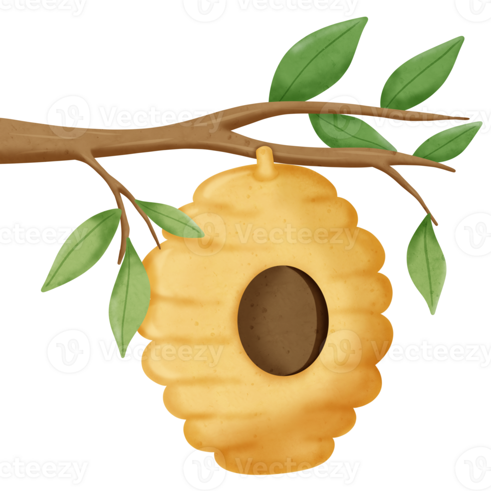 Yellow honey hive hanging on a tree branch png