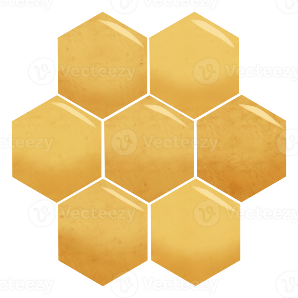 favo de mel ilustração. mosaico geométrico padronizar do pente com hexágono png