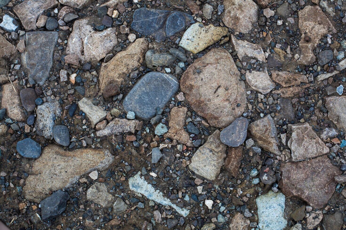 texture of sharp sea stones of different sizes photo