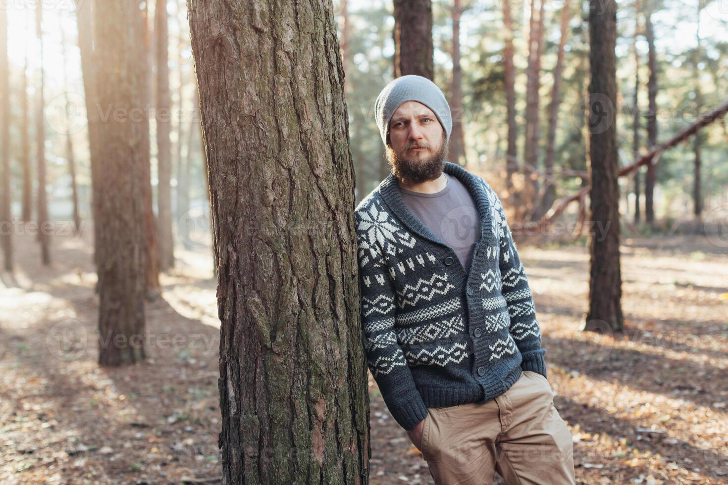 a young man with a beard walks in a pine forest. Portrait of a brutal bearded man Autumn forest photo