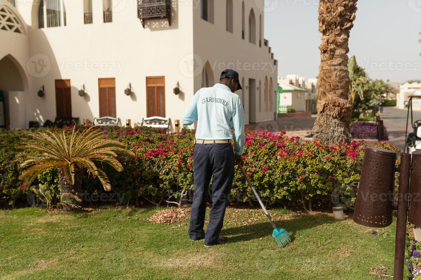 Man is cutting trees in the park professional gardener in a uniform cuts bushes photo