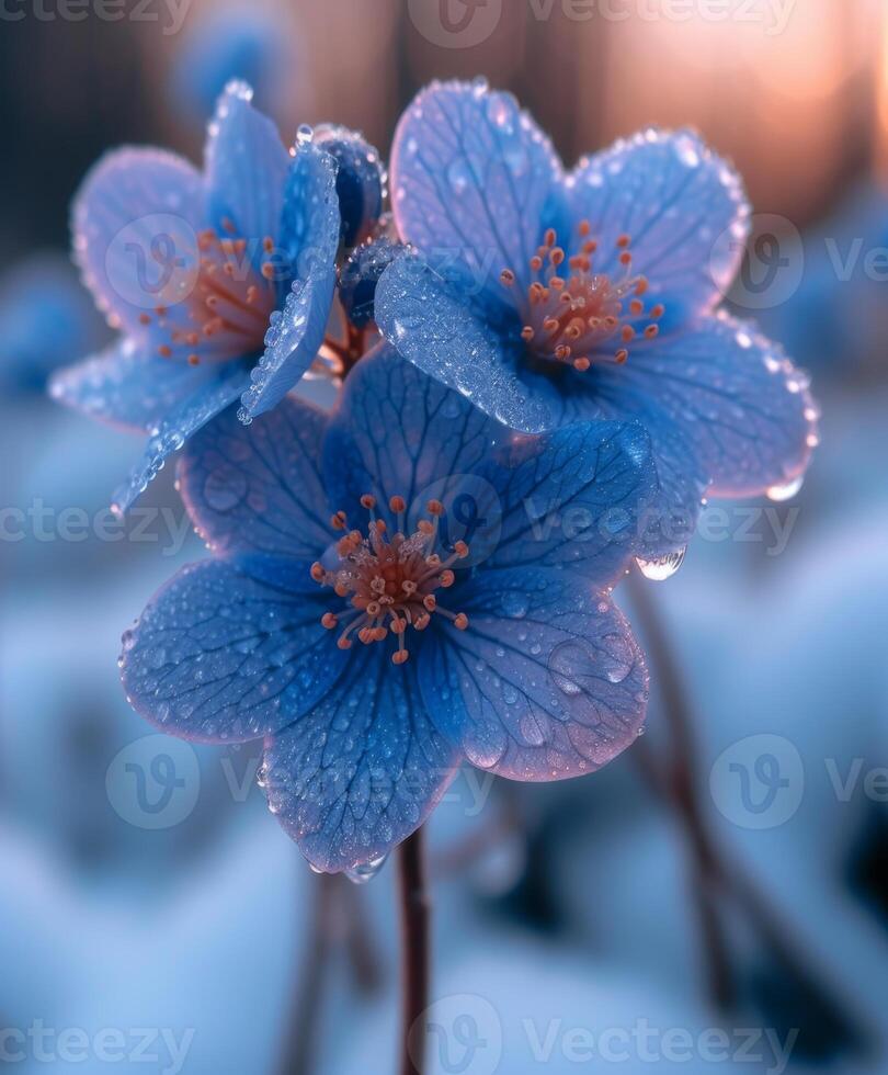 AI generated Blue flowers of anemones in the early spring photo