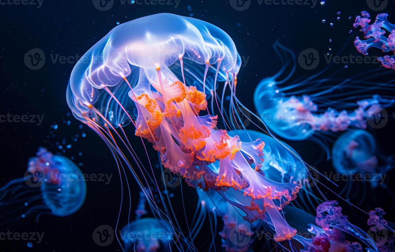 AI generated Colorful jellyfish in the dark sea photo