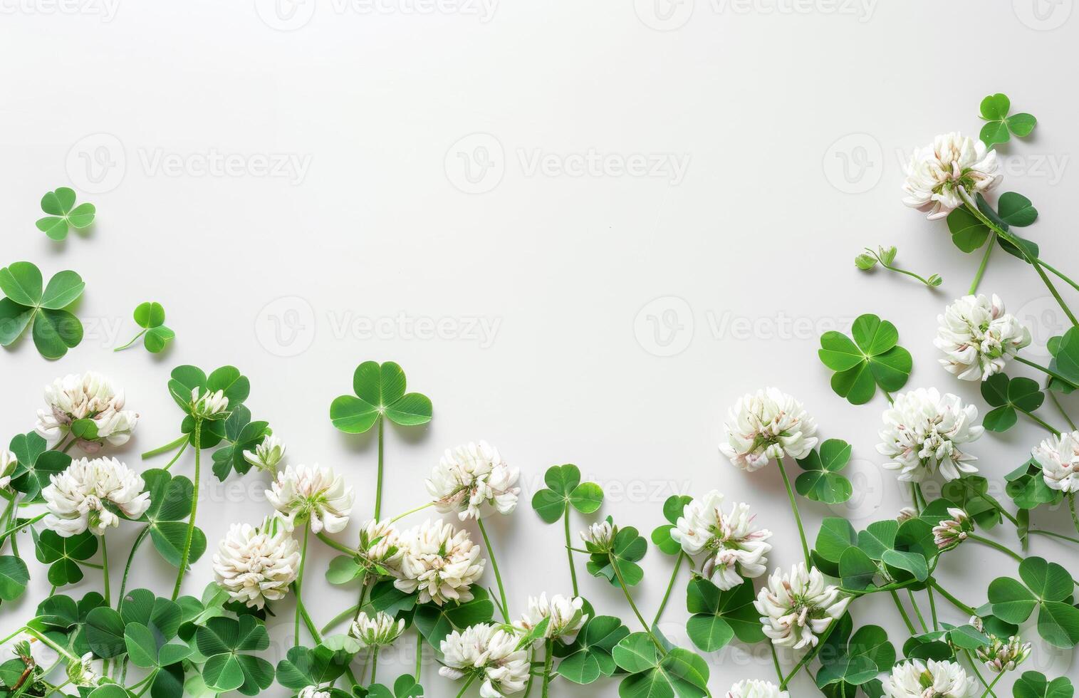 AI generated Clover and white flowers on white background top view copy space photo