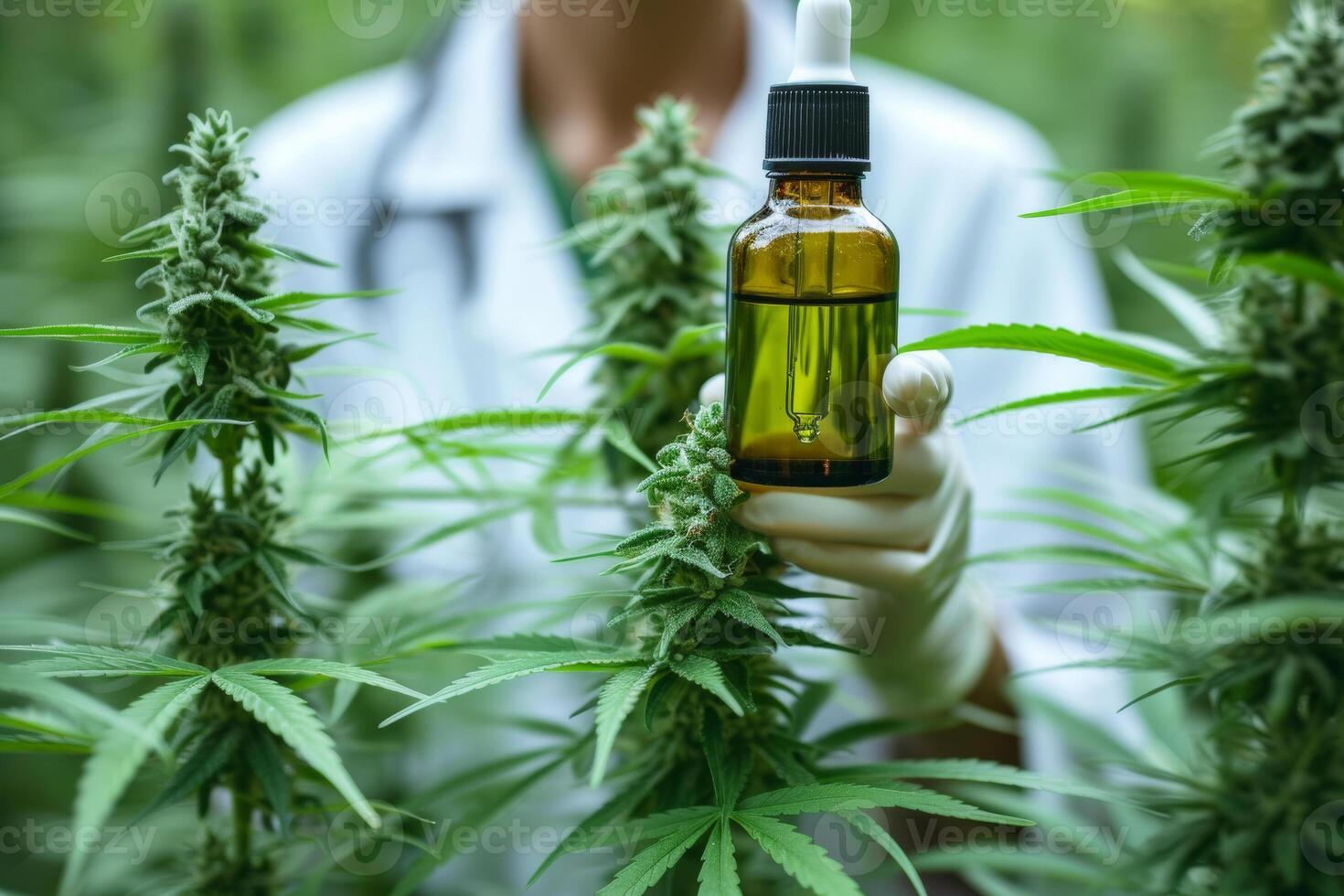 AI generated Scientist holds full vial of cannabidiol oil in his hand in the middle of hemp farm. photo