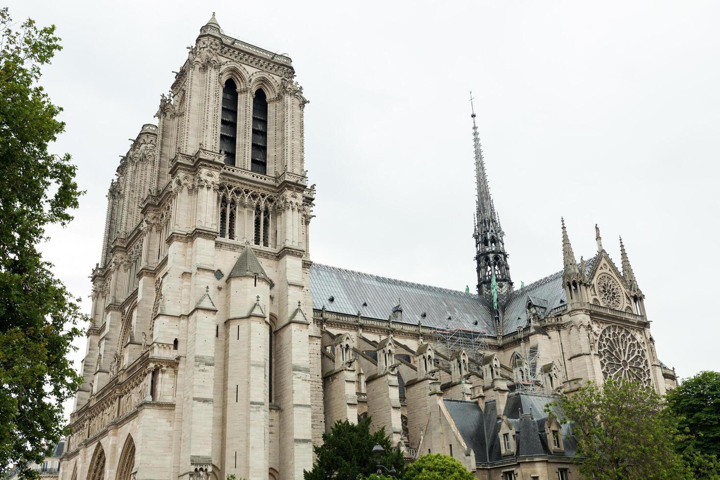 FRANCE. PARIS JUNE 01, 2018 Tourists visiting the Cathedrale Notre Dame de Paris is a most famous cathedral 1163 - 1345 on the eastern half of the Cite Island. photo