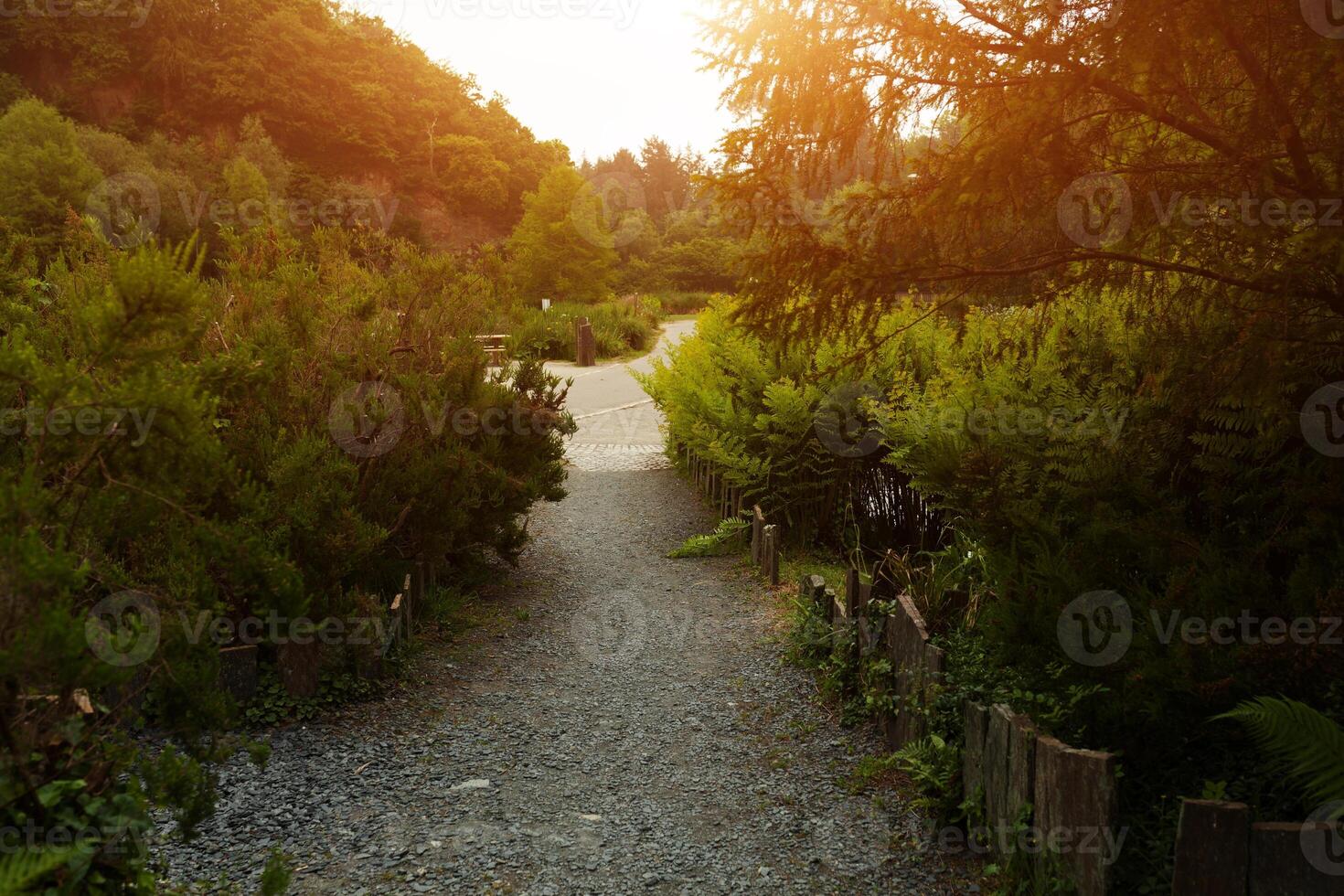 Botanical Garden Le Vallon du Stang Alar Brest France 28 may 2018 - a walking track photo