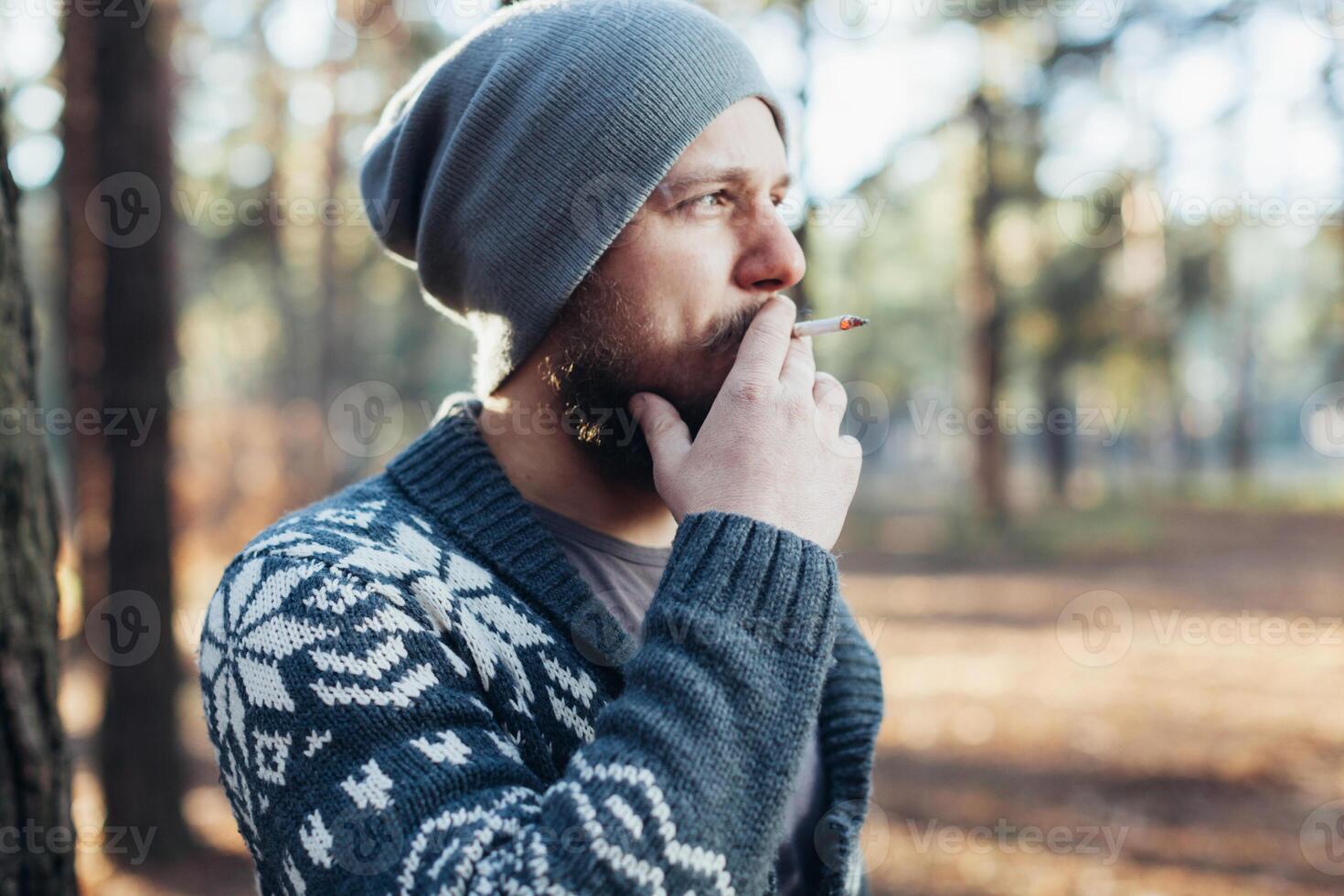 a young man with a beard walks in a pine forest. Portrait of a brutal bearded man Autumn forest photo