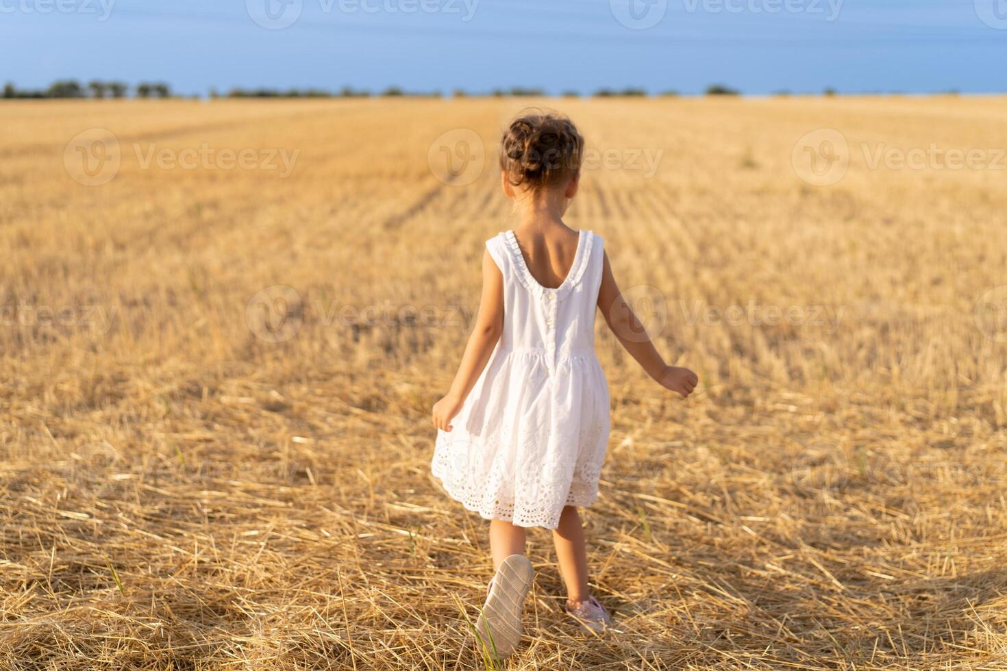 Little girl dressed white dress walking wheat field summer day photo