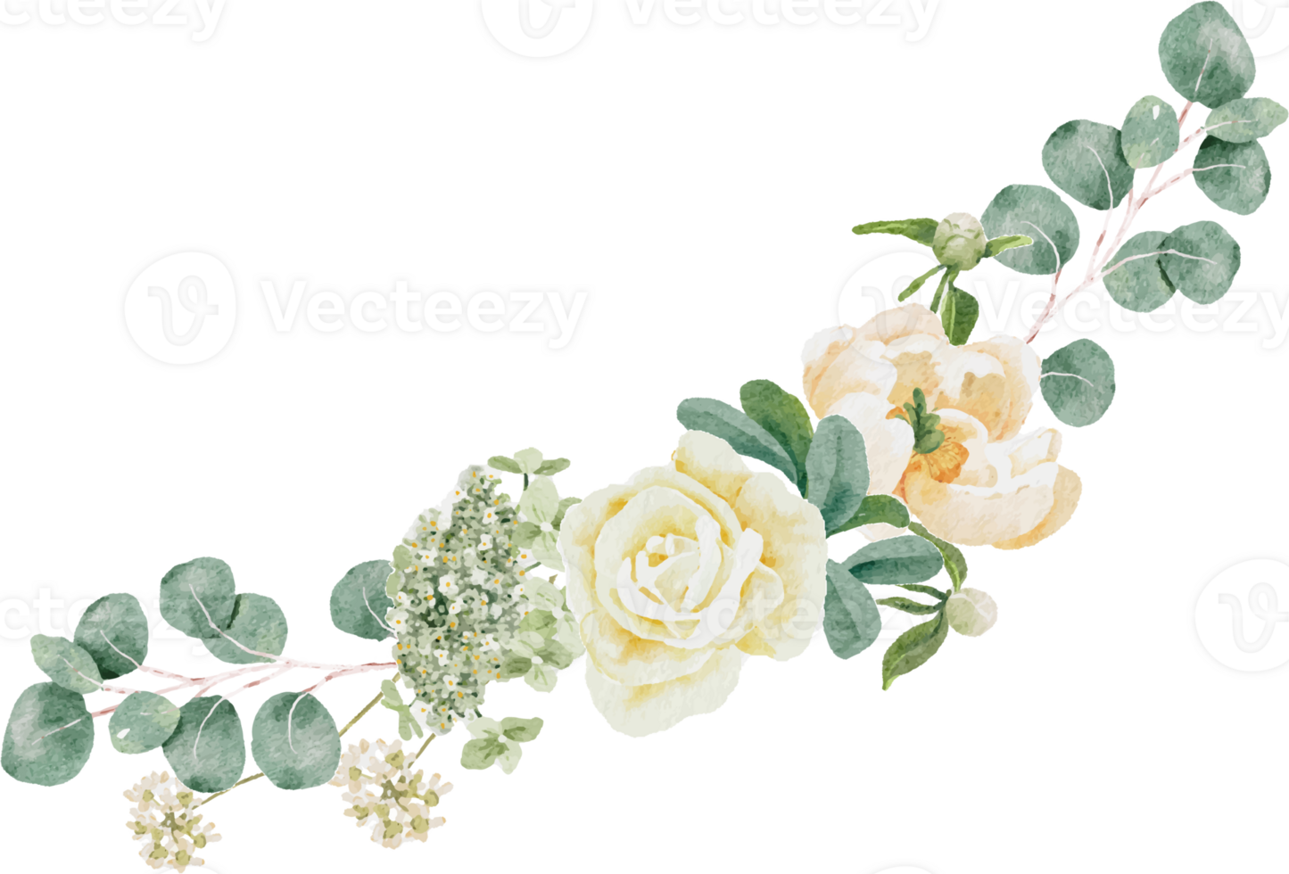watercolor white peony and rose foliage flower bouquet wreath frame png