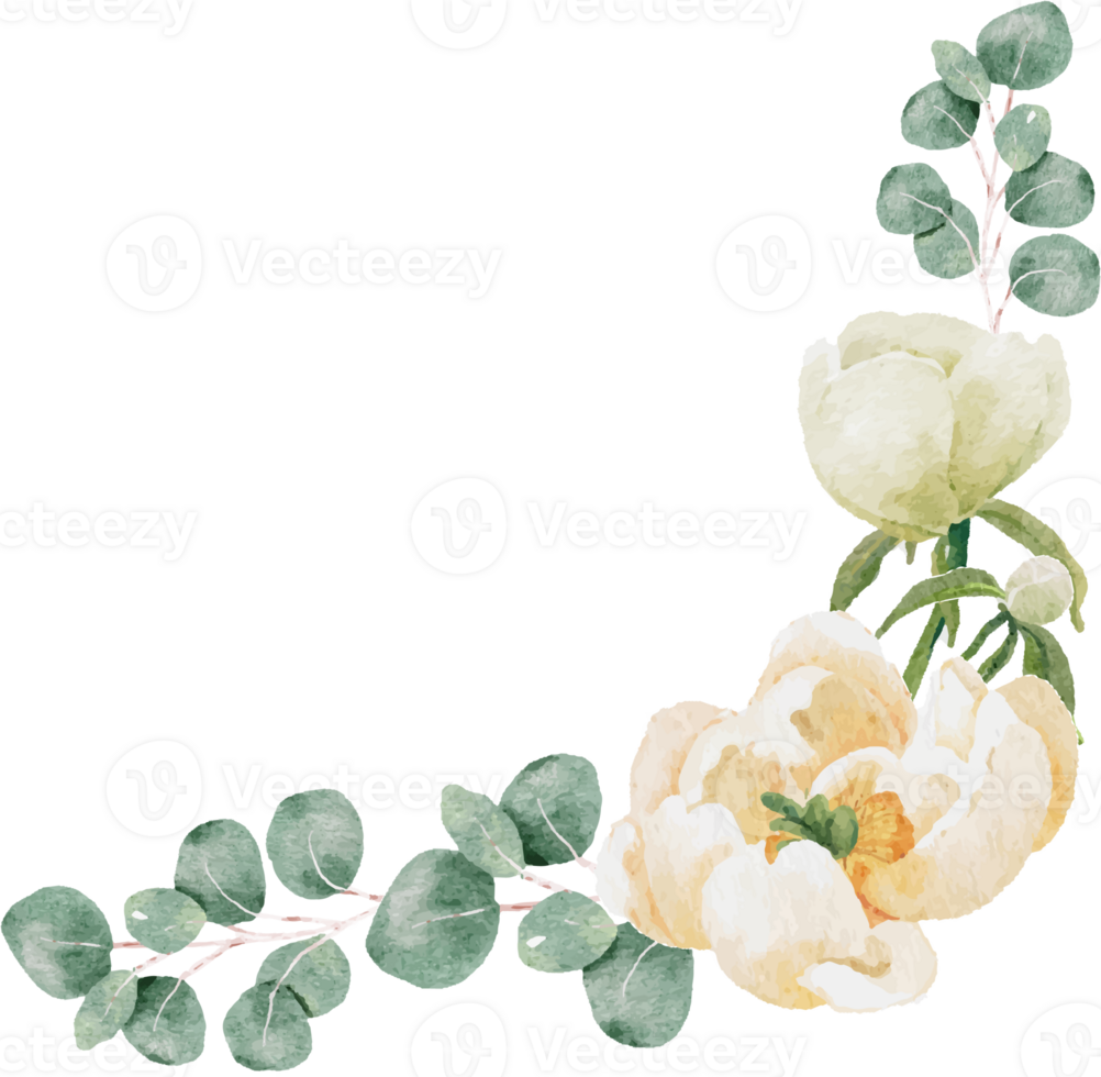 watercolor white peony and rose foliage flower bouquet wreath frame png