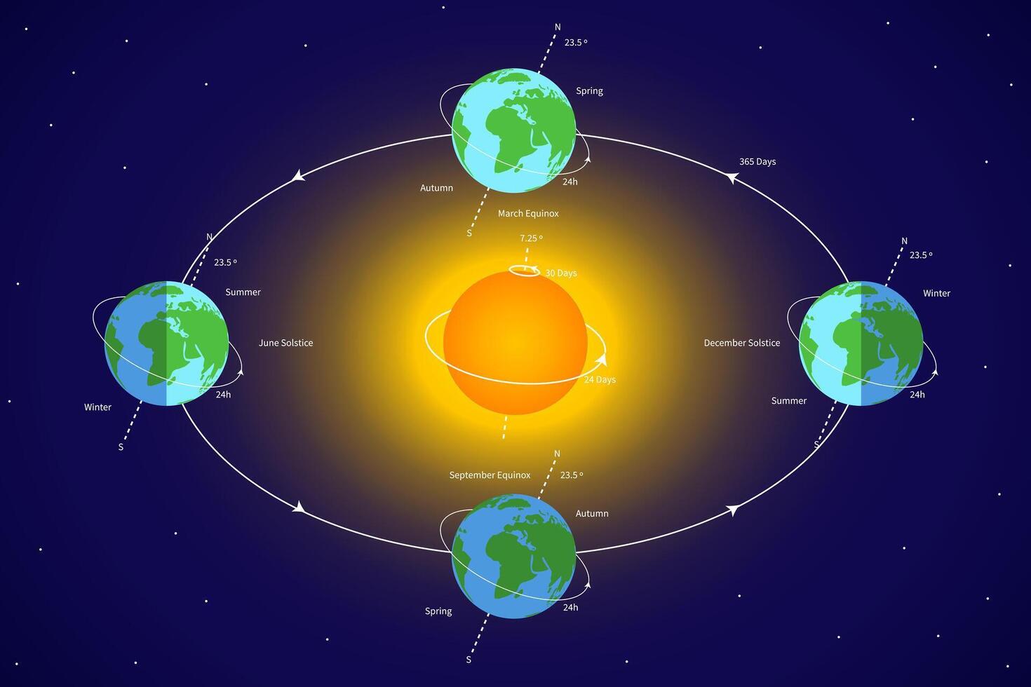 Earth's orbit. Earth Rotation Around the Sun with Solar System Illustration vector