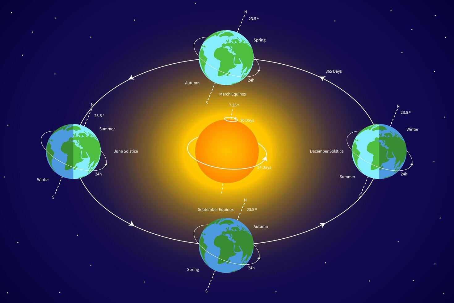 la tierra orbita. tierra rotación alrededor el Dom con solar sistema ilustración vector