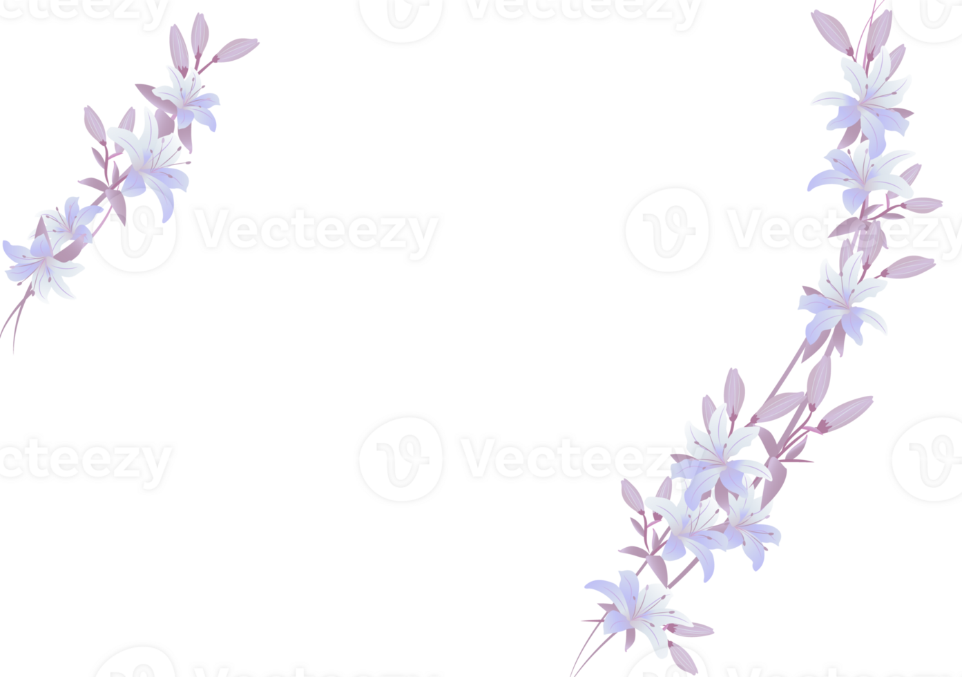 Lily floral frame ornament banner on background png