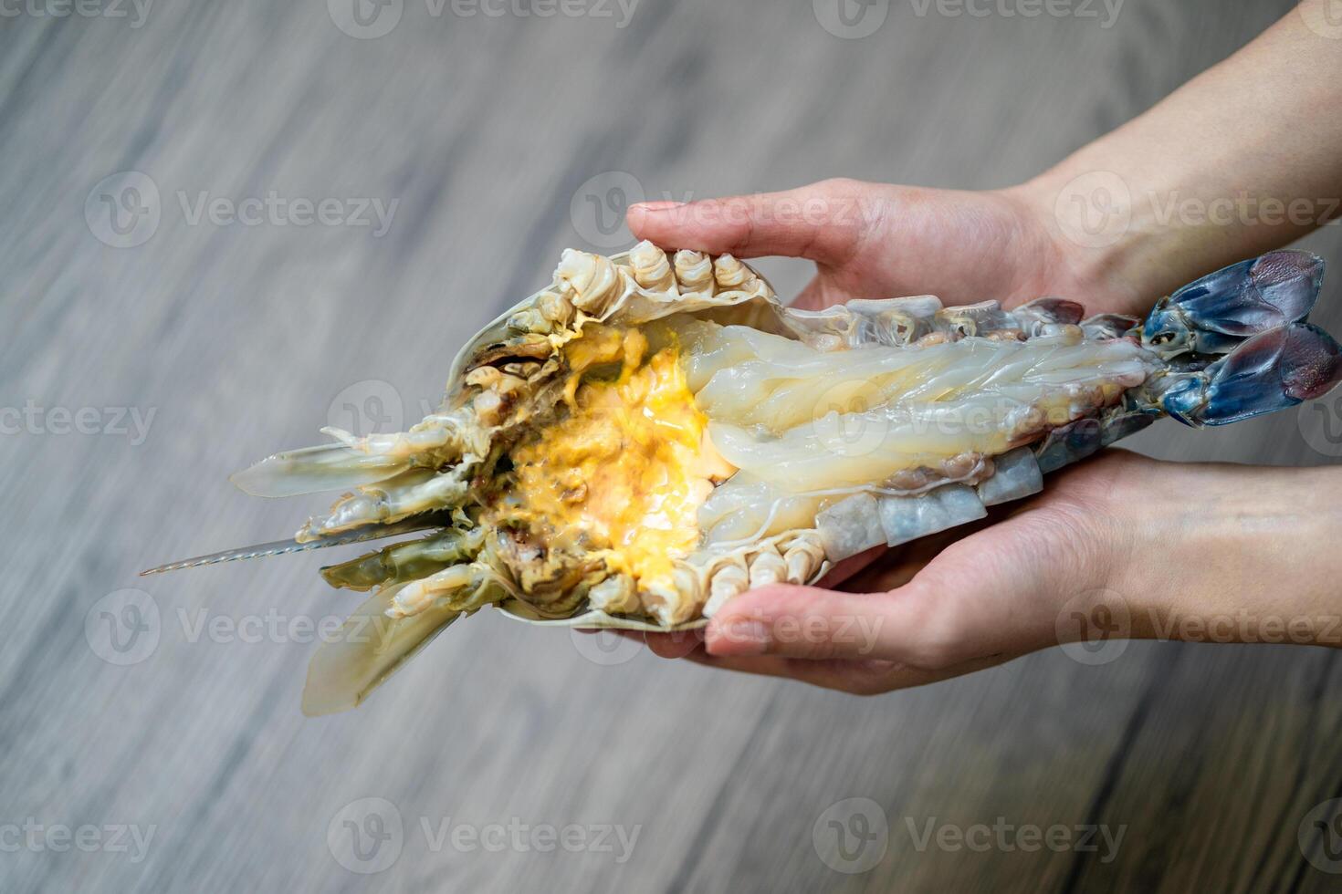 Hand holding giant fresh water prawn. photo