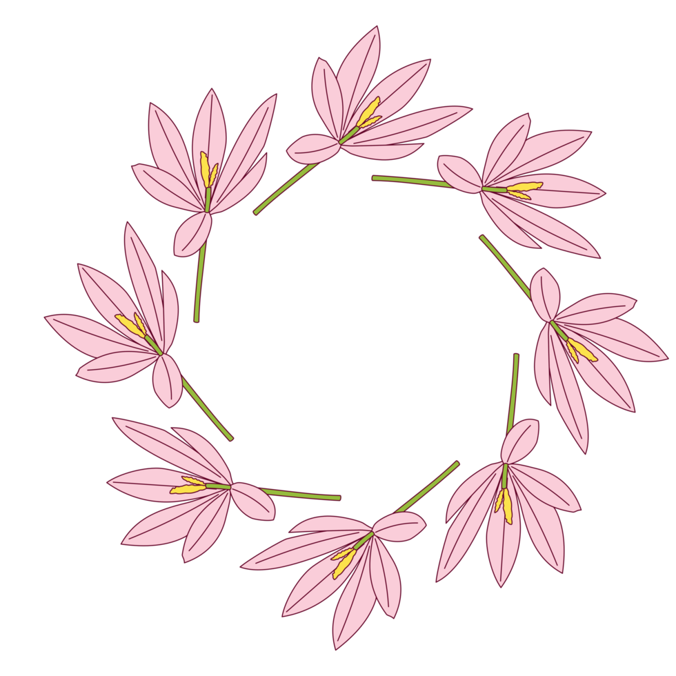 A crocus wreath PNG transparent background in a clean hand-drawn spring floral concept, illustration
