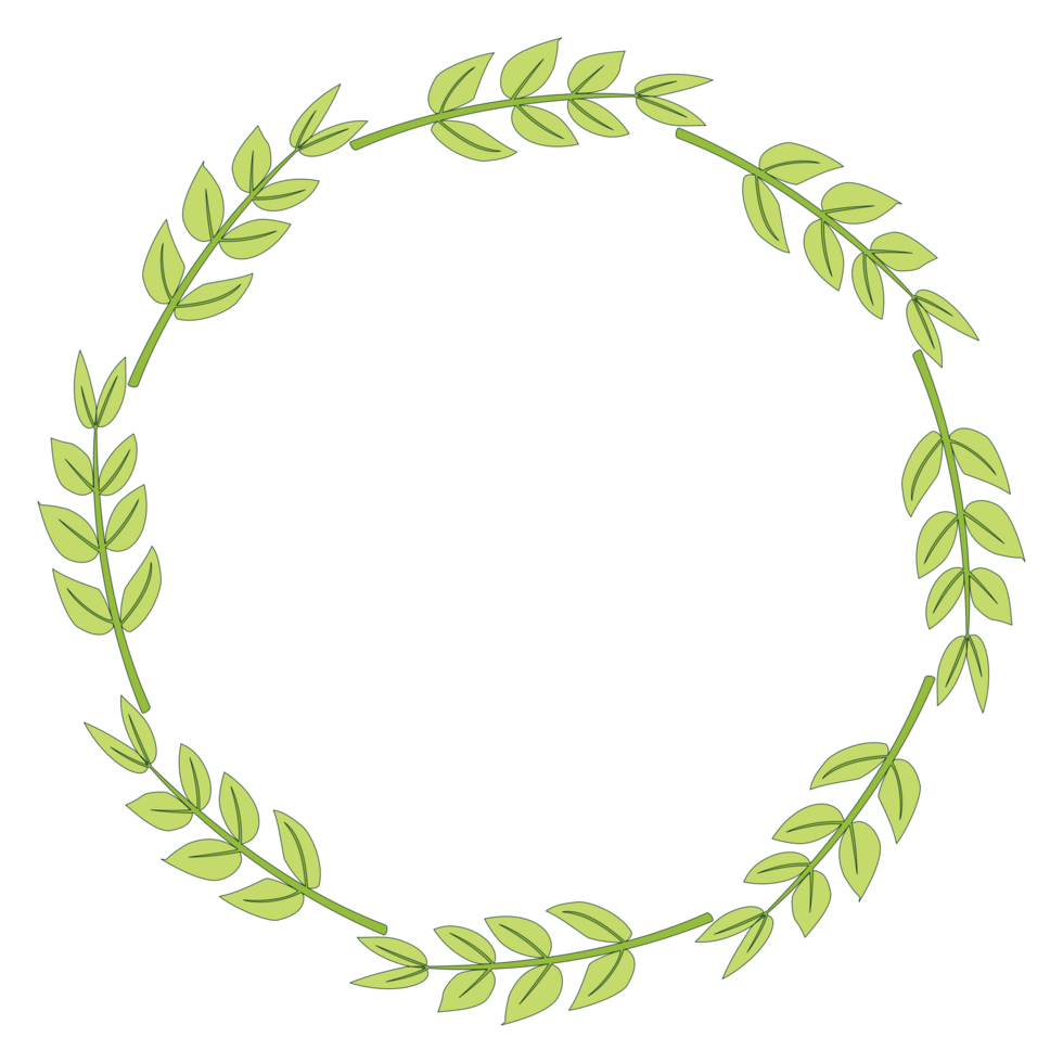 A tree branches and leaves wreath PNG transparent background in a clean hand-drawn spring floral concept, illustration