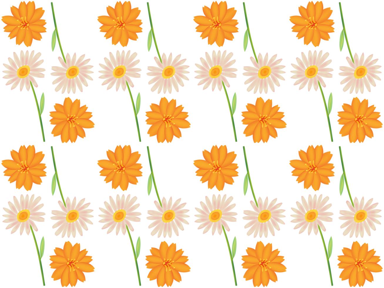 A seamless pattern of daisy and orange cosmos PNG transparent background in a hand-drawn gradient color spring floral concept, illustration