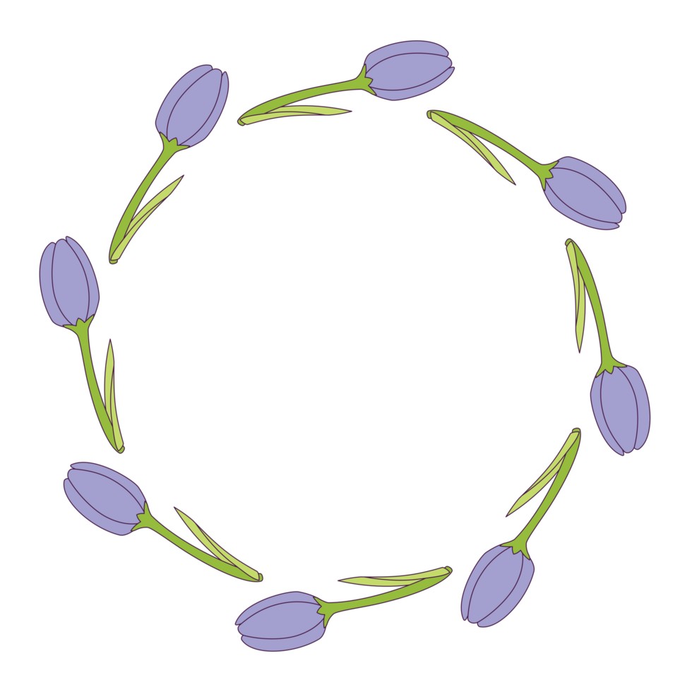 A tulip wreath PNG transparent background in a clean hand-drawn spring floral concept, illustration