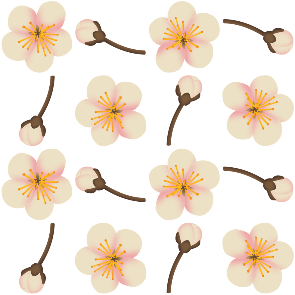 A seamless pattern of apple blossom and apple blossom budding PNG transparent background in a hand-drawn gradient color spring floral concept, illustration