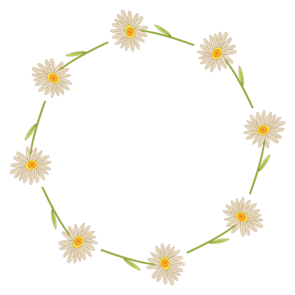 A daisy wreath PNG transparent background in a clean hand-drawn spring floral concept, illustration
