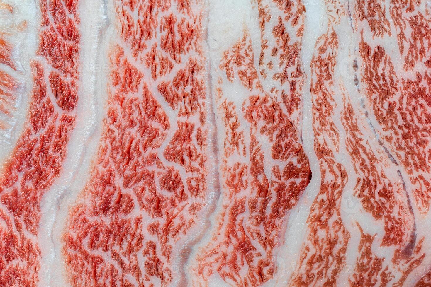 Closeup of A5 Japanese Wagyu Steak Cut. photo