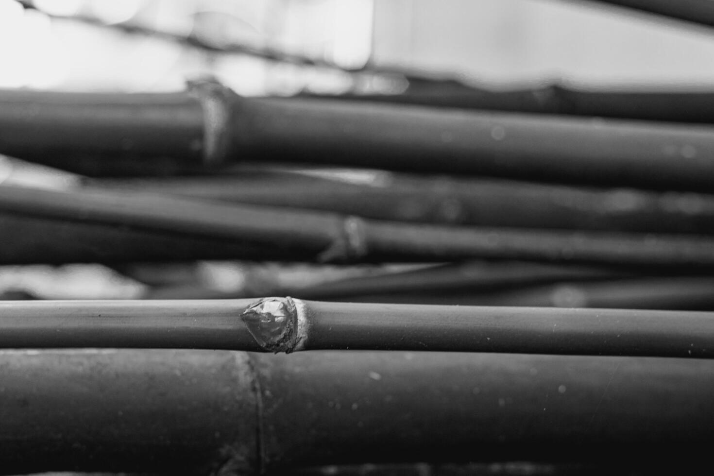 Bamboo fence background in black and white. photo