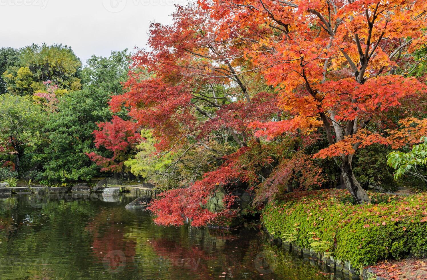 Kokoen, traditional Japanese garden  during autumn season in Himeji, Japan photo