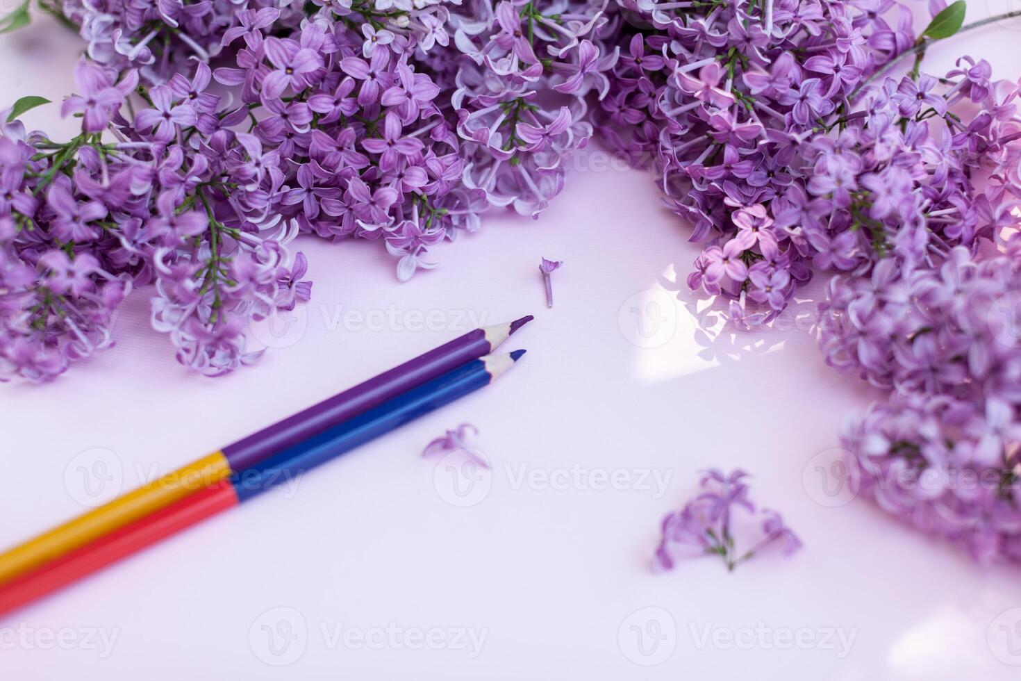 Sheets of white clean paper and spring flowers lilac, on a color background background. photo