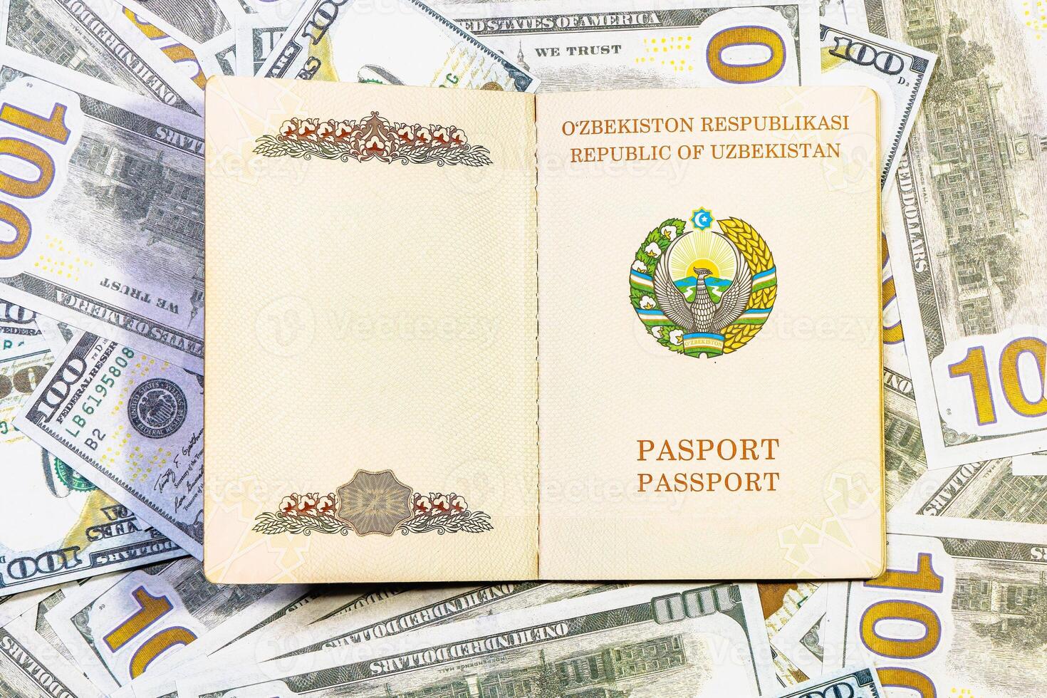 nuevo muestra pasaporte de un ciudadano de el república de Uzbekistán foto