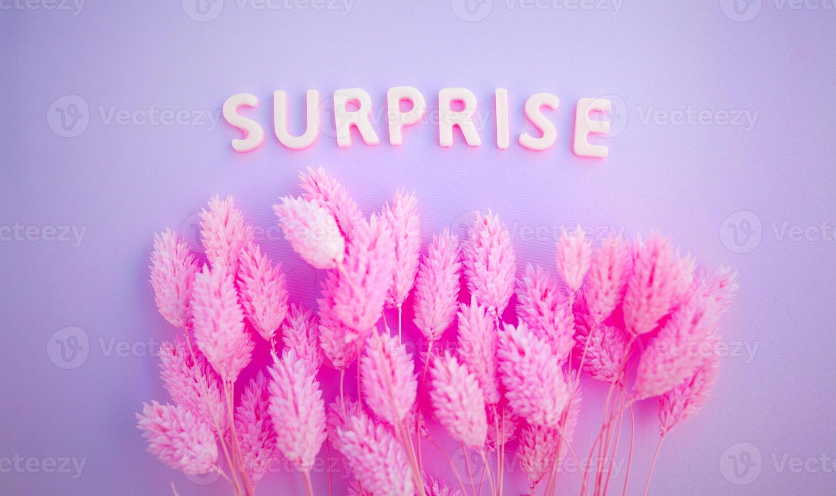 Beautiful pink dried flowers on a pink background with the inscription surprise in white letters and free space for the text photo